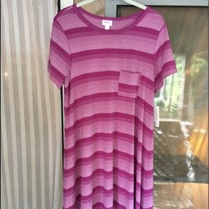 Small Carly NWT Lularoe